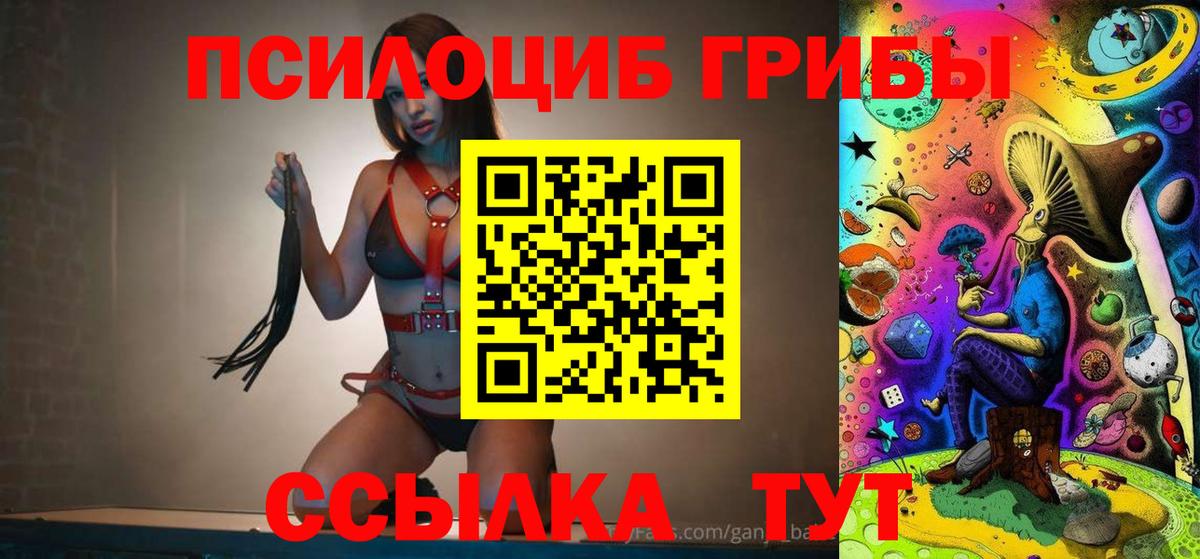 Псилоцибиновые грибы Magic Shrooms  где купить   Владимир  Вход с VPN 